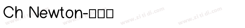 Ch Newton字体转换